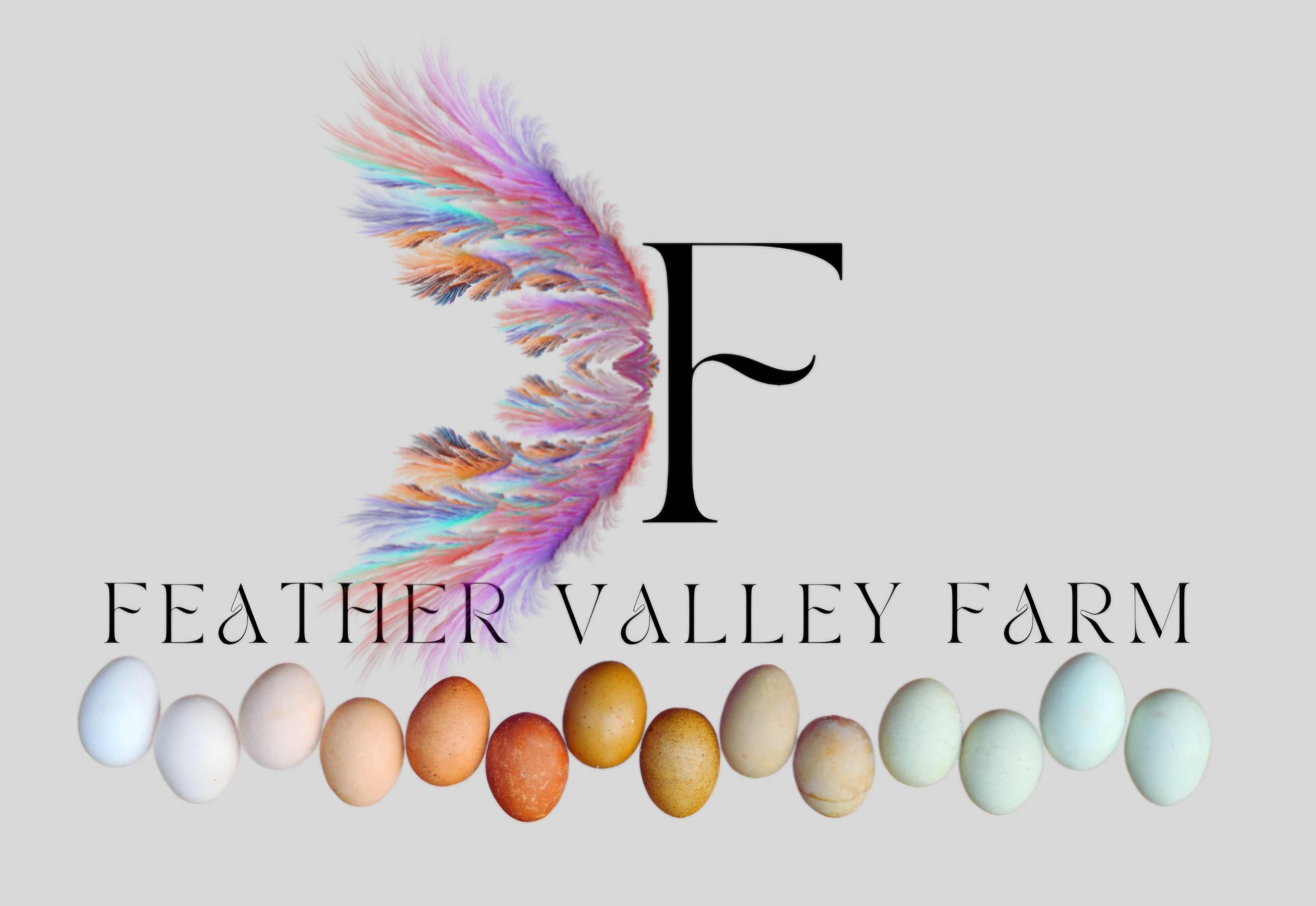 Feather Valley Farm
